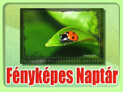 Fényképes Naptár Karácsonyra